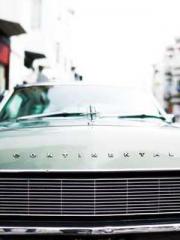 One Pregnancy, Two B