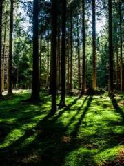 Dangerously Close to Dangerously Close to