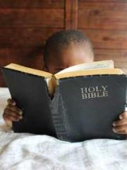 Falling for You: The Falling for You: The