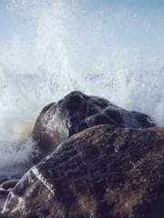 A Heavenly Gift: The